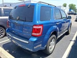 2010 Escape Thumbnail 5