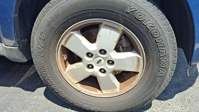 2010 Ford Escape XLT