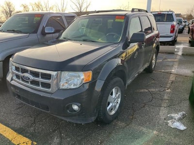 Photo of a 2011 Ford Escape XLT 4DR SUV for sale