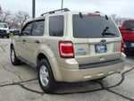 2010 Escape Thumbnail 30