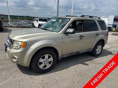 Photo of a 2010 Ford Escape XLT 4DR SUV for sale