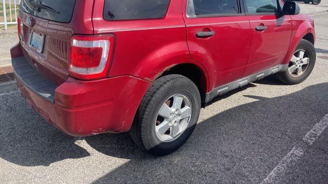 2010 Ford Escape XLT