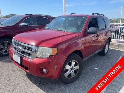 Photo of a 2010 Ford Escape XLT 4DR SUV for sale