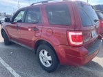 2010 Escape Thumbnail 6
