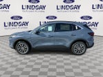 2025 Escape Plug-In Hybrid Thumbnail 5