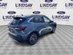 2025 Escape Plug-In Hybrid Thumbnail 8