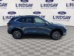 2025 Escape Plug-In Hybrid Thumbnail 9