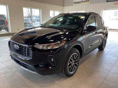 2025 Ford Escape Plug-In Hybrid Phev 4DR SUV