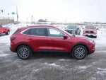 2025 Escape Plug-In Hybrid Thumbnail 4