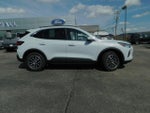 2025 Escape Plug-In Hybrid Thumbnail 12
