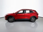 2026 Escape Plug-In Hybrid Thumbnail 9