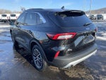 2024 Escape Plug-In Hybrid Thumbnail 5