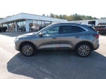 2025 Escape Plug-In Hybrid Thumbnail 4