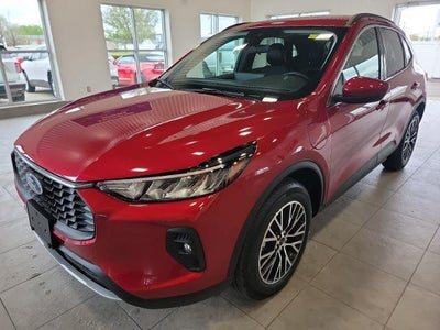 Photo of a 2025 Ford Escape Plug-In Hybrid Phev 4DR SUV for sale