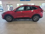 2025 Escape Plug-In Hybrid Thumbnail 11