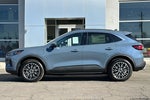 2025 Escape Plug-In Hybrid Thumbnail 7