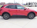 2025 Escape Plug-In Hybrid Thumbnail 5
