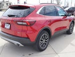 2025 Escape Plug-In Hybrid Thumbnail 6