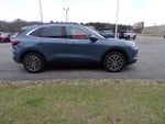 2025 Escape Plug-In Hybrid Thumbnail 4