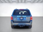2011 Escape Thumbnail 12