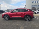 2021 Escape Plug-In Hybrid Thumbnail 2