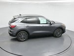 2021 Escape Plug-In Hybrid Thumbnail 42