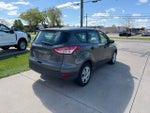 2016 Escape Thumbnail 6