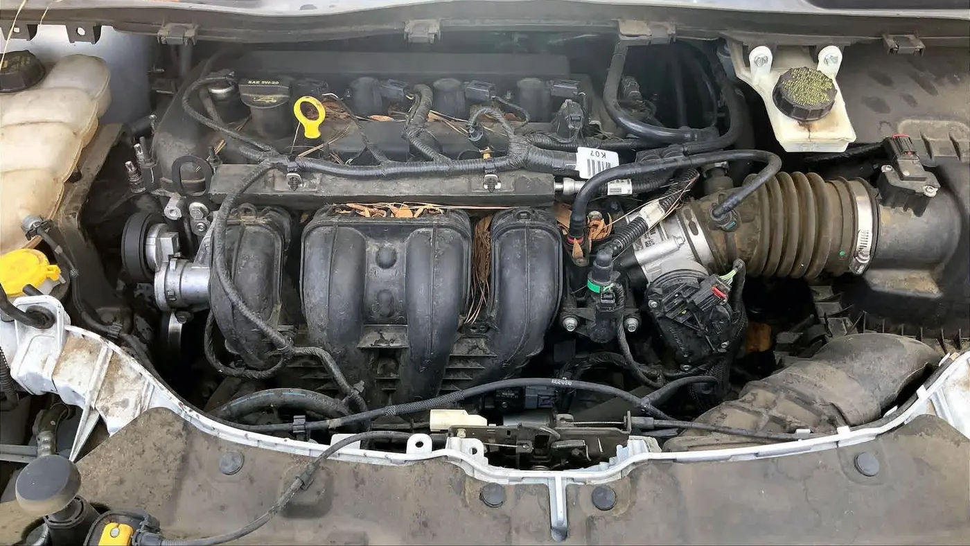 2015 Ford Escape S