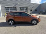 2017 Escape Thumbnail 3