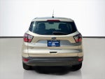 2017 Escape Thumbnail 6