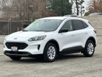 2022 Escape Thumbnail 8