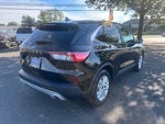 2022 Escape Thumbnail 8