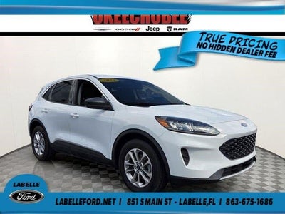 2022 Ford Escape SE 4DR SUV