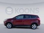 2015 Escape Thumbnail 10