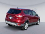 2015 Escape Thumbnail 13