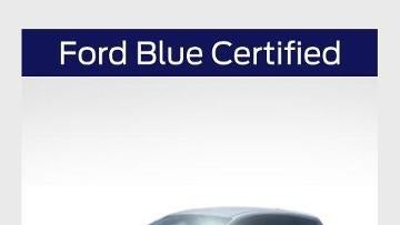 Preowned 2019 Ford Escape SE for Sale