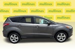 2013 Escape Thumbnail 2