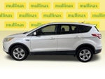 2014 Escape Thumbnail 12
