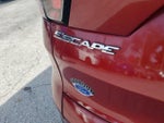 2017 Escape Thumbnail 10