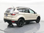 2017 Escape Thumbnail 5