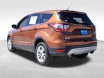2017 Escape Thumbnail 3