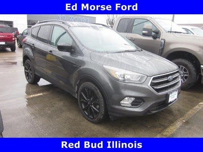 2019 Ford Escape SE 4DR SUV