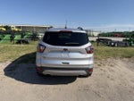 2017 Escape Thumbnail 6