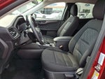 2026 Escape Thumbnail 13