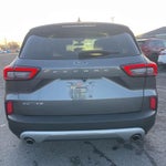 2024 Escape Thumbnail 4