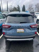 2025 Escape Thumbnail 6