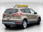 2014 Escape Thumbnail 7