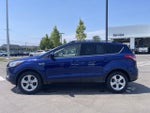 2016 Escape Thumbnail 2