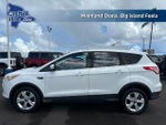 2013 Escape Thumbnail 3