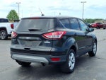 2015 Escape Thumbnail 3